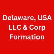 Delaware LLC