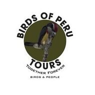 Birds of Peru Tours