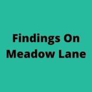 Findingson Meadowlane